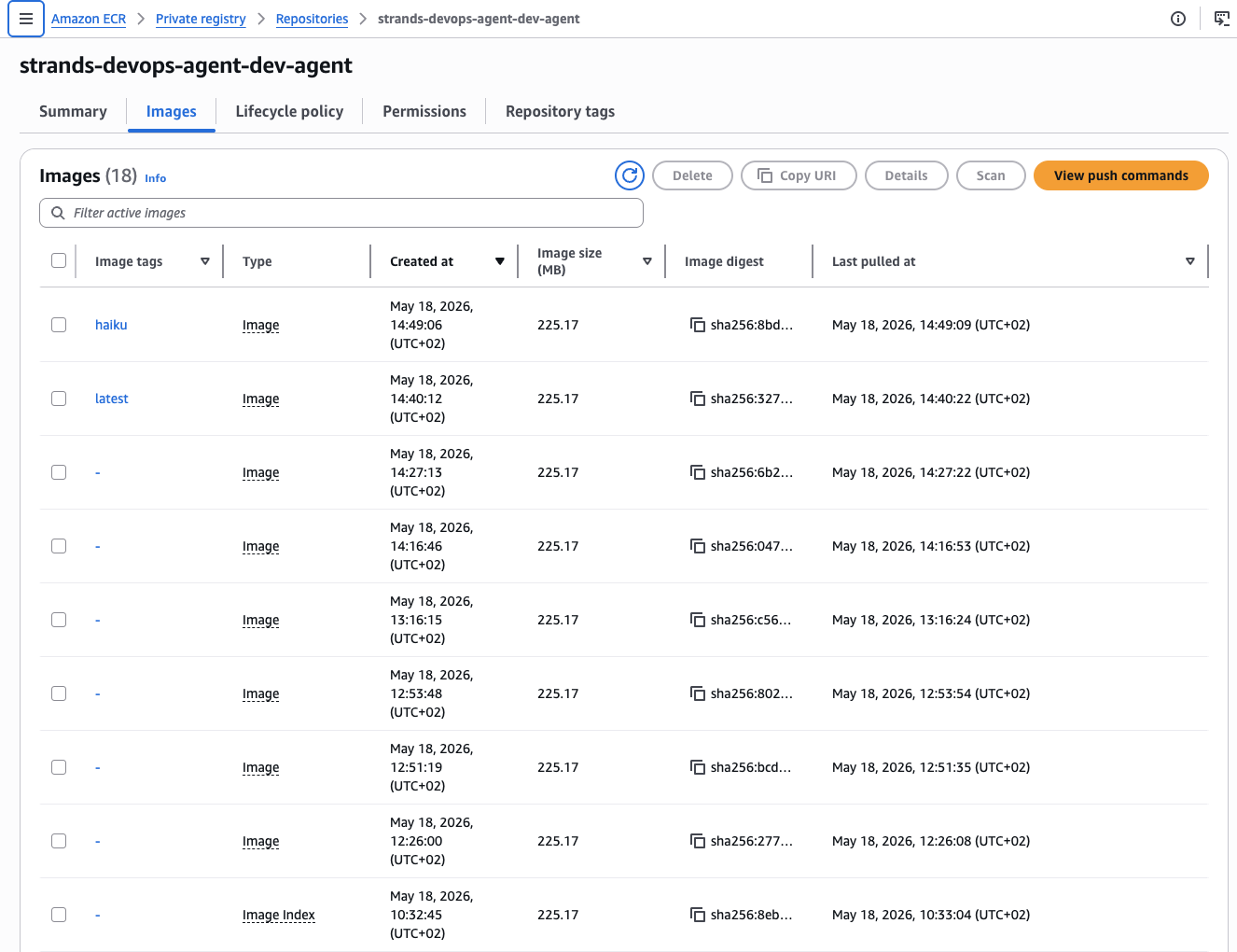ECR Repository — agent container image